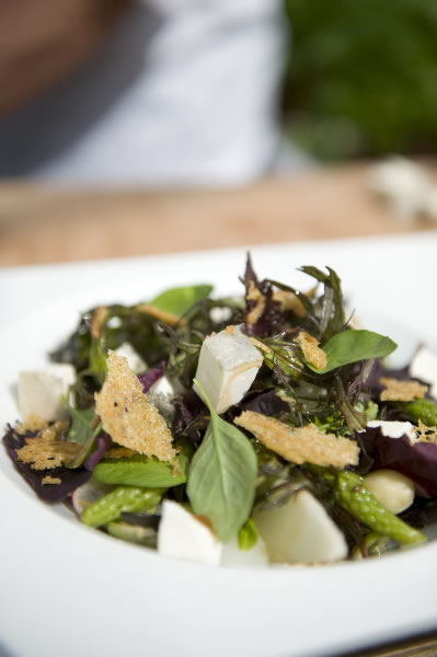 Zomerse salade van notenkruid en citroenbasilicum met zwitte asperges, geitenkaas en sesamdressing Zomerse salade van notenkruid en citroenbasilicum met zwitte asperges, geitenkaas en sesamdressing