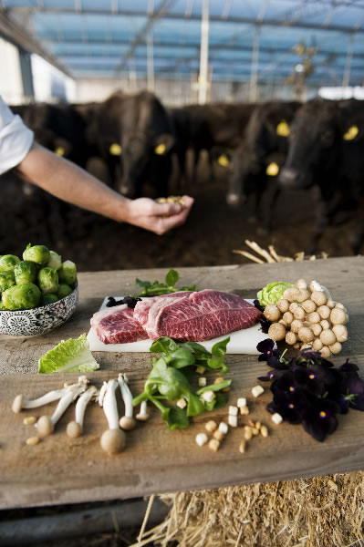 Wagyu-rundersukade met een Westfriese najaarssalade